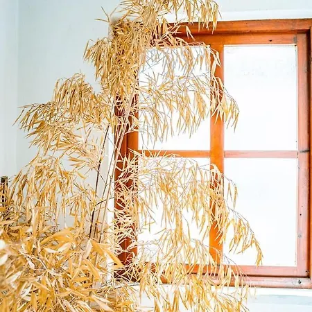 Casa Da Ernesta Мондин-ди-Башту