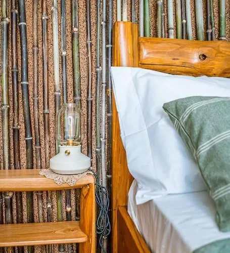 Casa Da Ernesta * Mondim de Basto